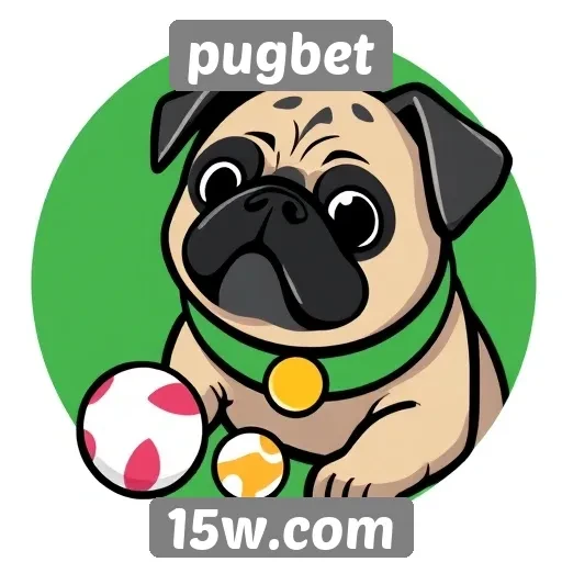 Opções de pagamento disponíveis no Pugbet